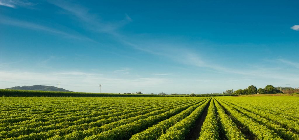 Adrian Matthiassen – Photographer