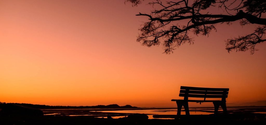 Adrian Matthiassen – Photographer