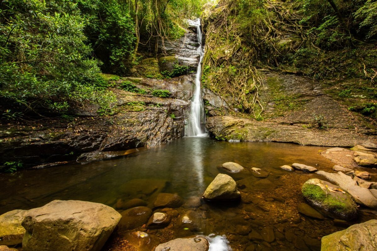 Adrian Matthiassen – Photographer