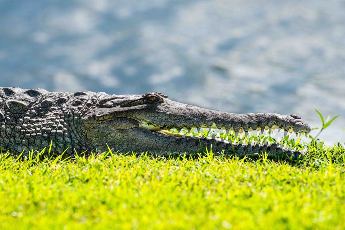 Adrian Matthiassen – Photographer