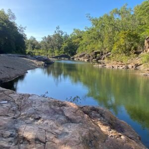 Bowling Green Free Photo Walk